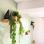 Διαμέρισμα Le Patio ※ Carnot *