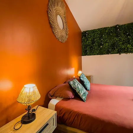 Le Patio ※ Carnot Apartment Carcassonne