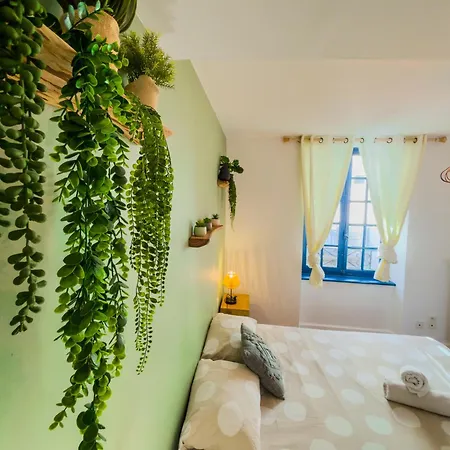 Le Patio ※ Carnot Apartment Carcassonne